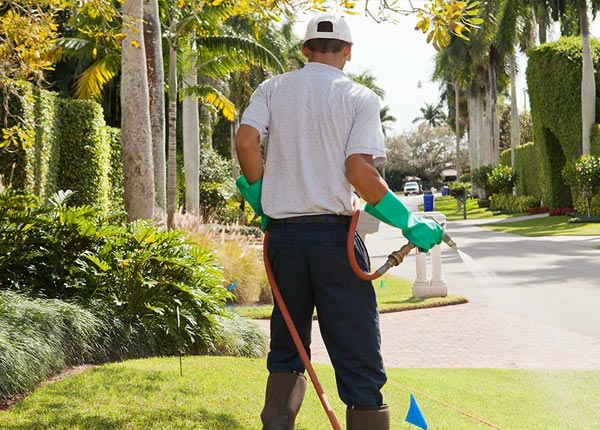 About Davisburg MI Pest Control